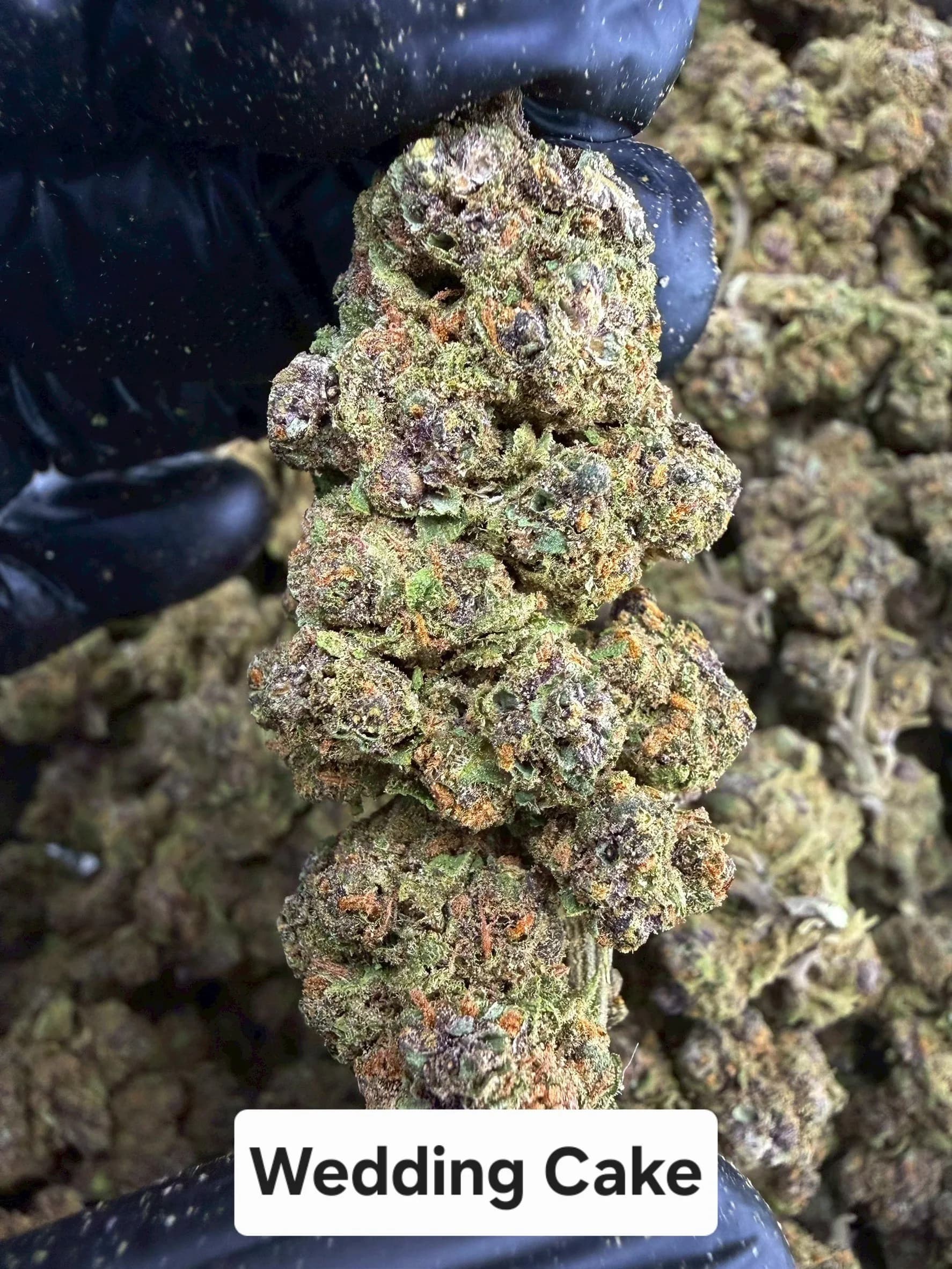 WEDDING CAKE