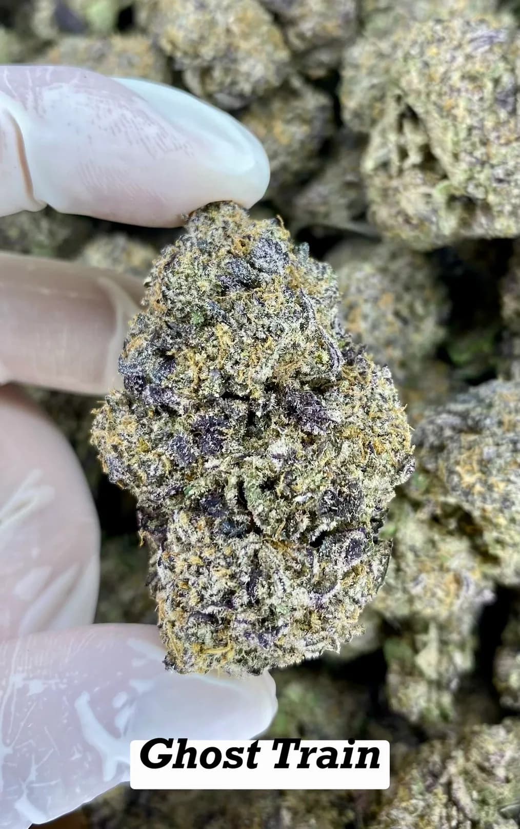 Ghost Train Haze